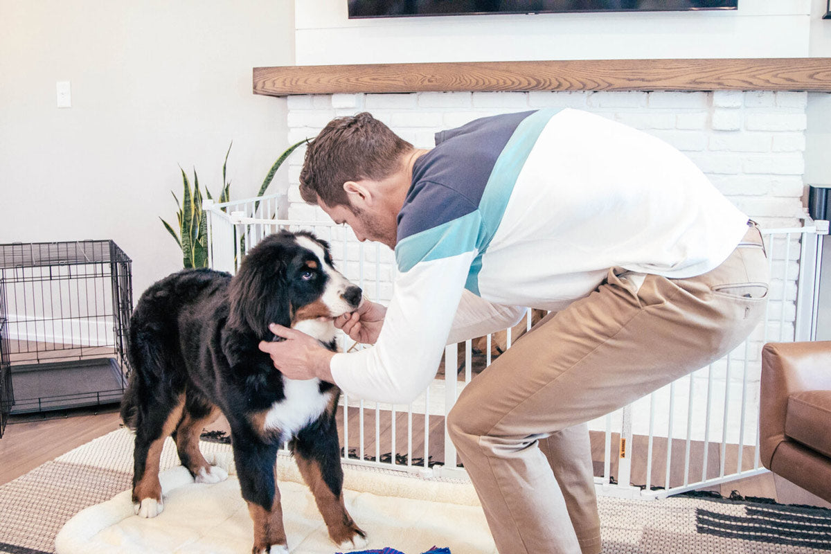 Puppy looking into a man's eyes concentrating