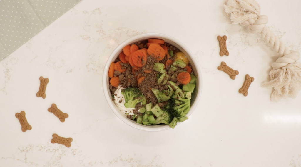 top down view of bowl of dog food on counter 