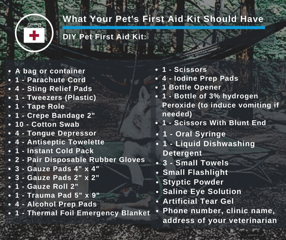 list of things to include in first aid kit