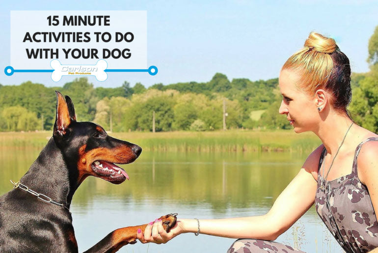 large brown and black dog shaking a woman's hand 