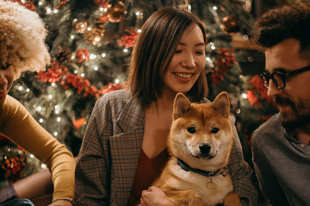 A woman and man with a Shiba dog sitting on her lap in front of a Christmas tree