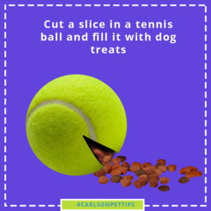 tennis ball with kibble in it