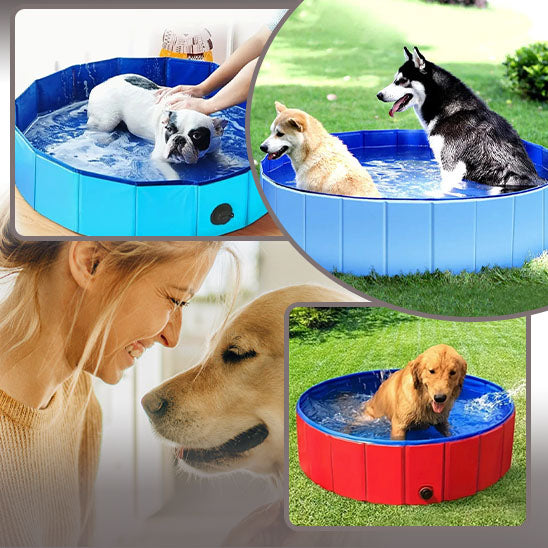 piscine-pour-chien-pliable