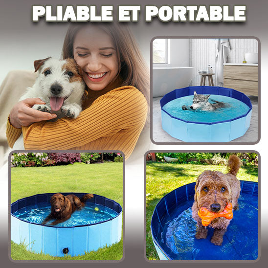 piscine-pour-chien-portable