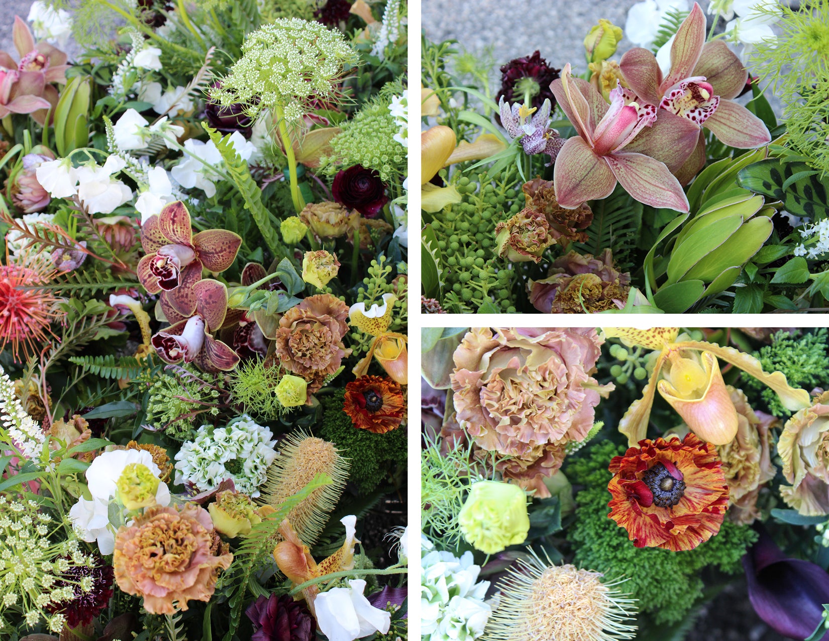 wildflora forest floor event flowers lush woodland orchid pincushion protea ranunculus green verde yellow red purple violet mauve white queen anne's lace pitcher plant sweet pea peacock foliage leaf fern fairytale faerie wedding