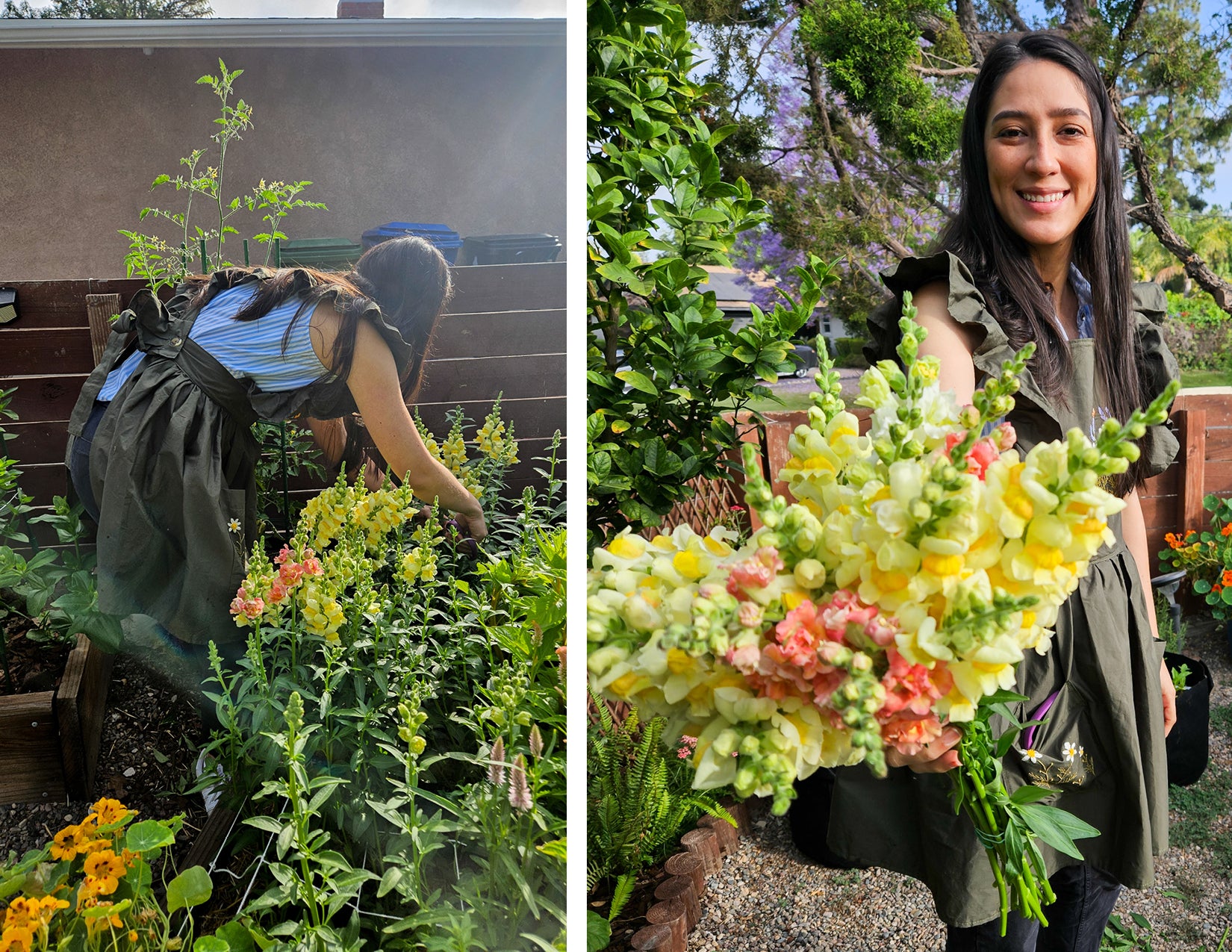 WildFlora's own Natalia Hazen harvests organic local flowers in her home garden, which includes dahlia, rudbeckia, snapdragon, garden rose, yarrow, allium, and veronica. The flowers are pink, orange, yellow, and purple.