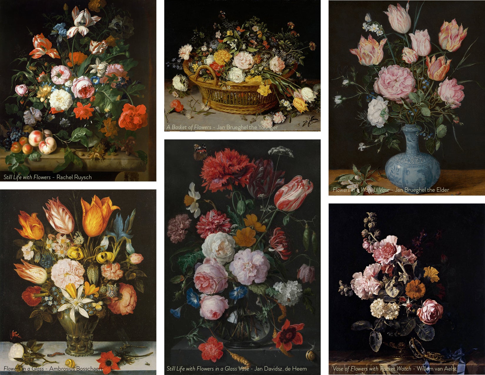 wildflora dutch still life flower floral golden age inspiration Jan Brueghel the Elder, Jan Brueghel the Younger, Jan Davidsz. de Heem, Willem van Aelst, Maria van Oosterwijck, Rachel Ruysch