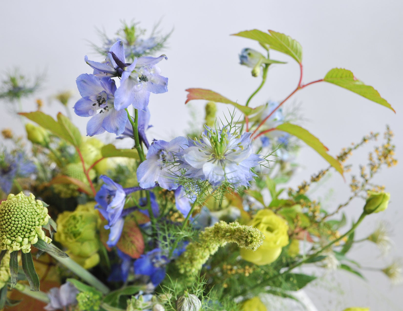 wildflora enchanted autumn collection blog post afternoon alchemy arrangement blue green rode delphinium forget me not