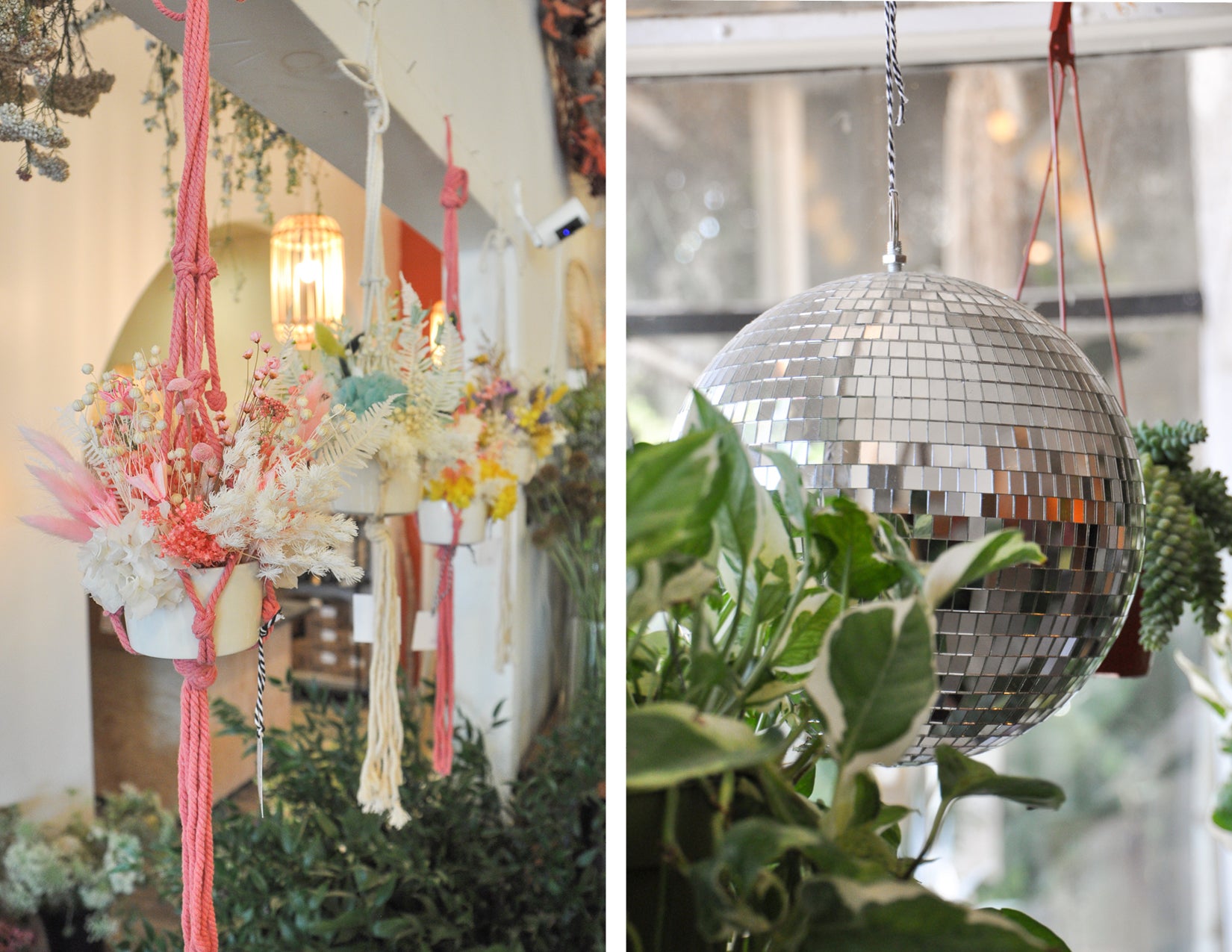 WildFlora mother's day flower alternatives gift present ideas disco ball dried flower floral hanging suspended macrame