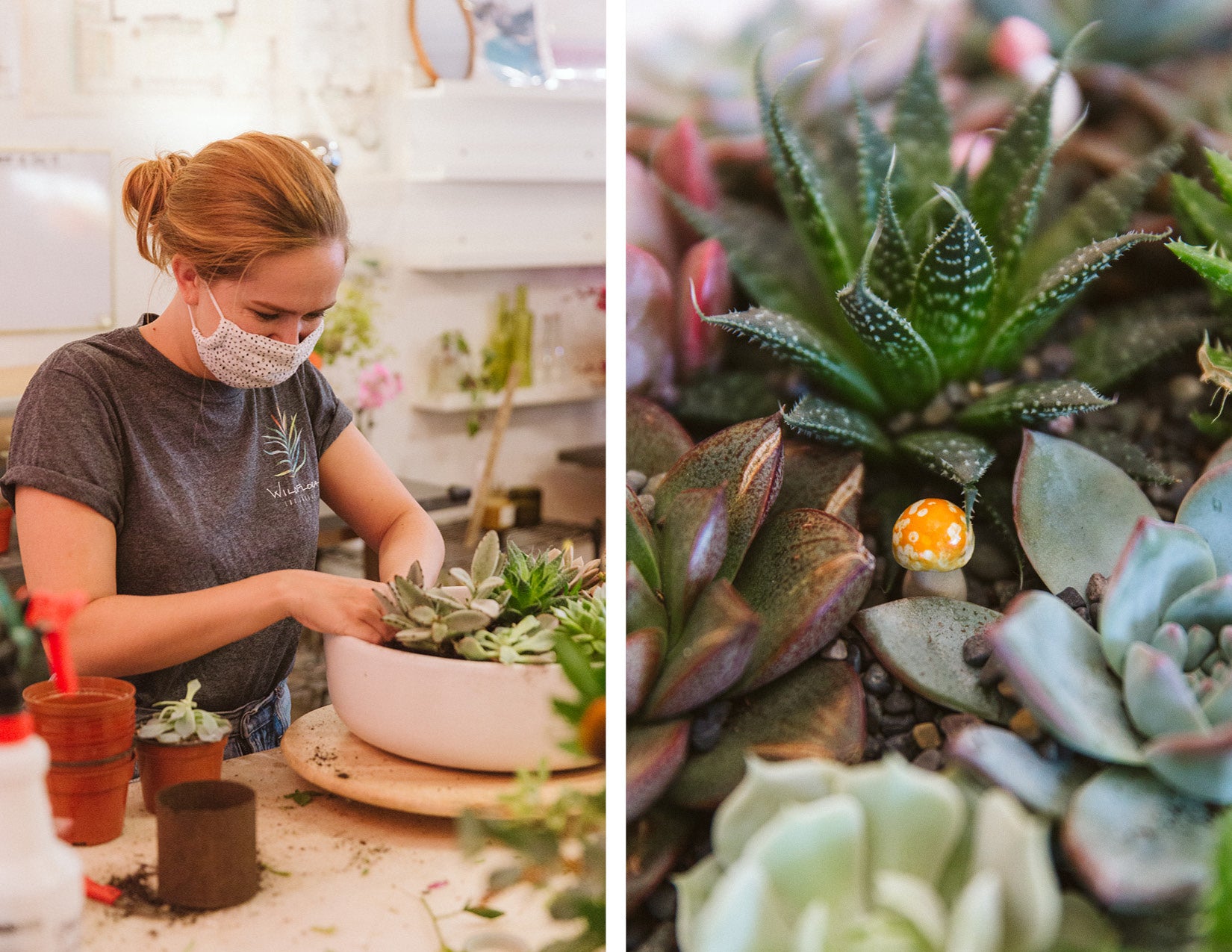 WildFlora small shop Saturday holiday business woman-owned behind the scenes florist succulent planter pot ceramic mushroom