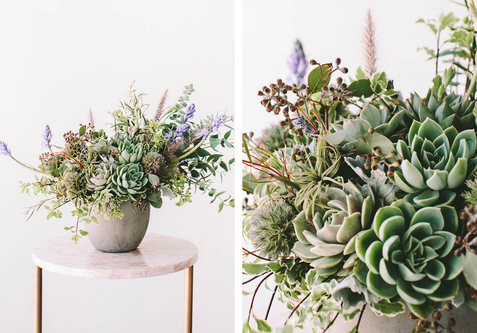 wildflora blog succulent shebang floral green