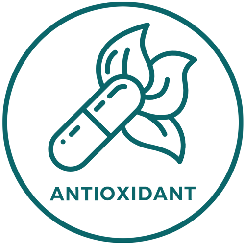 ANTIOXIDANT-1