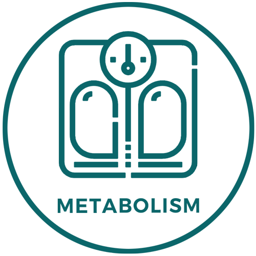 METABOLISM