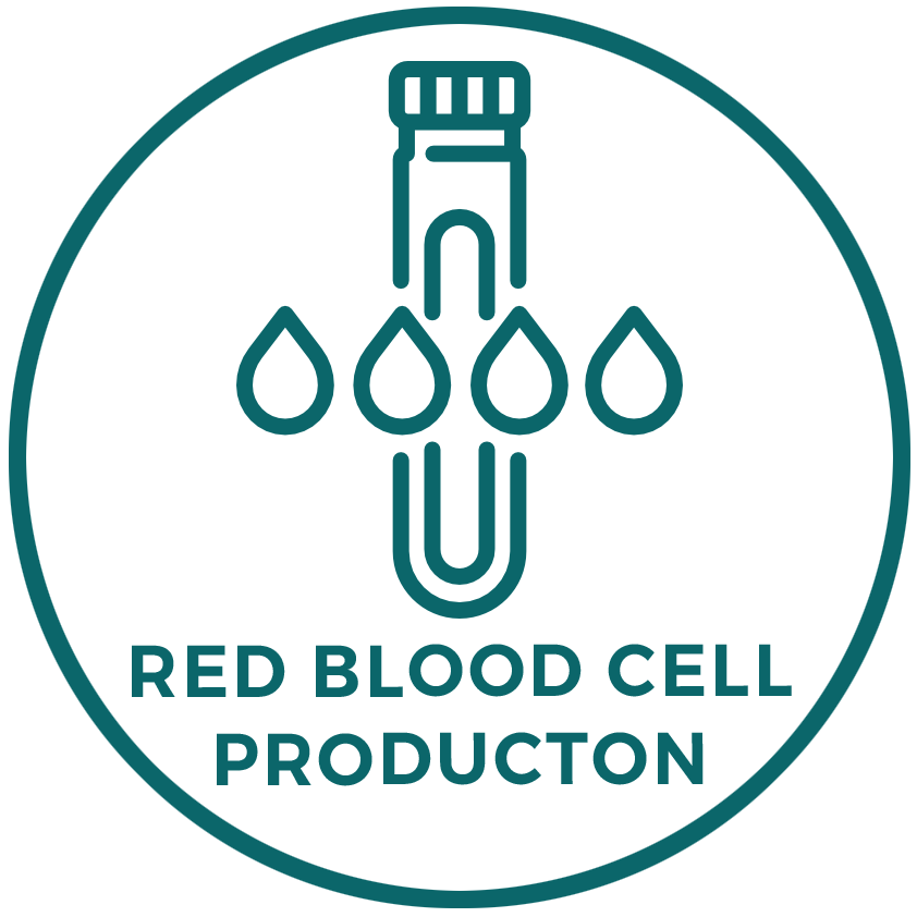 RED-BLOOD-CELL