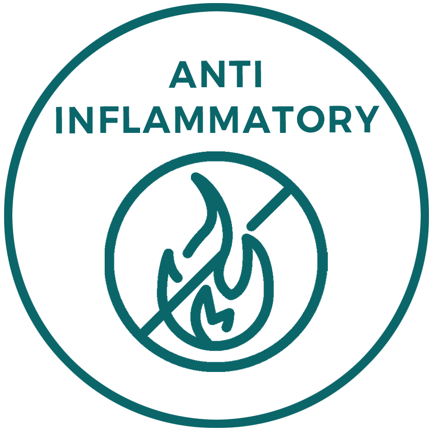 anti-inflamatory_e8f93f7c-54f8-468b-835b-f14d65c5da6f