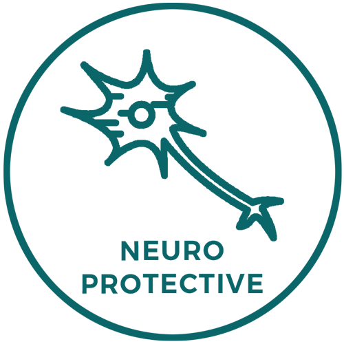 nEURO-PROTECTIVE_4e02283f-117a-48d7-b60a-6c70c3b12ff1