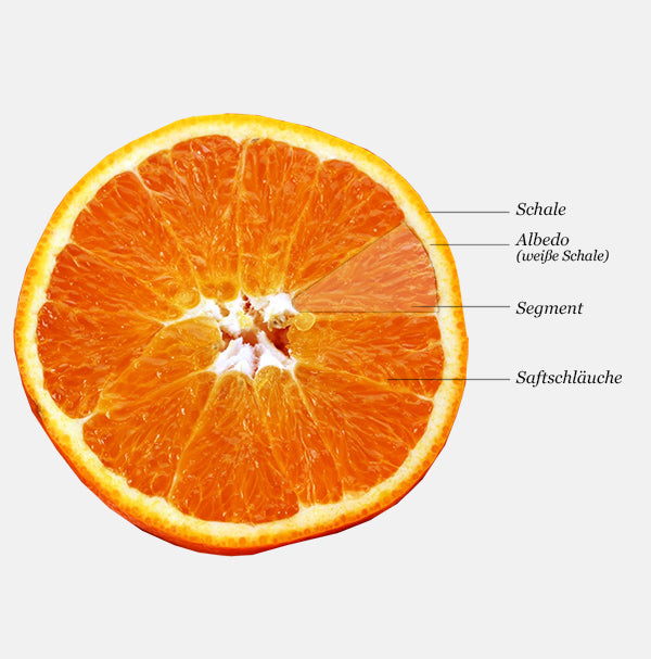 Sliced ​​orange