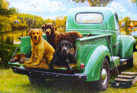Green vintage truck with three dogs sitting on the tail gate.