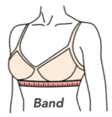 Post Op Bra Size Guide  How to Measure and Get the Right Size Bra