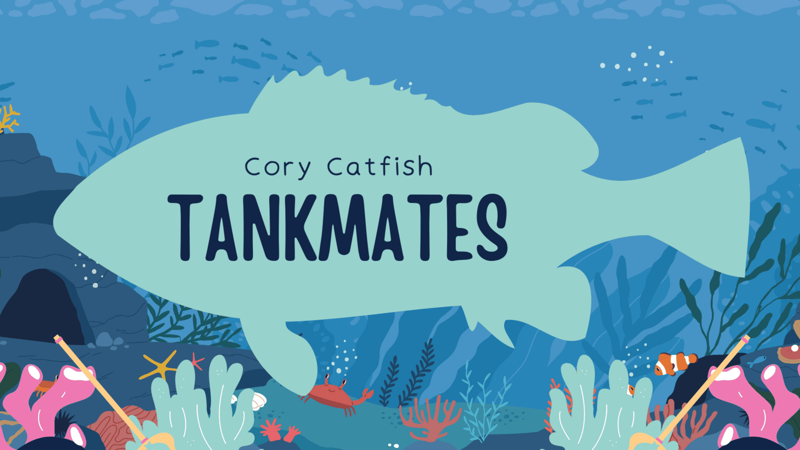 Compatible Tank Mates for Cory Catfish