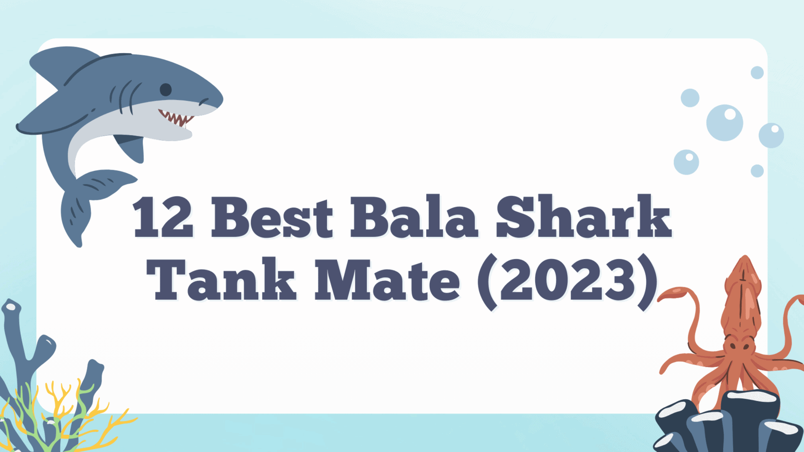 The Twelve Best Bala Shark Tank Mates