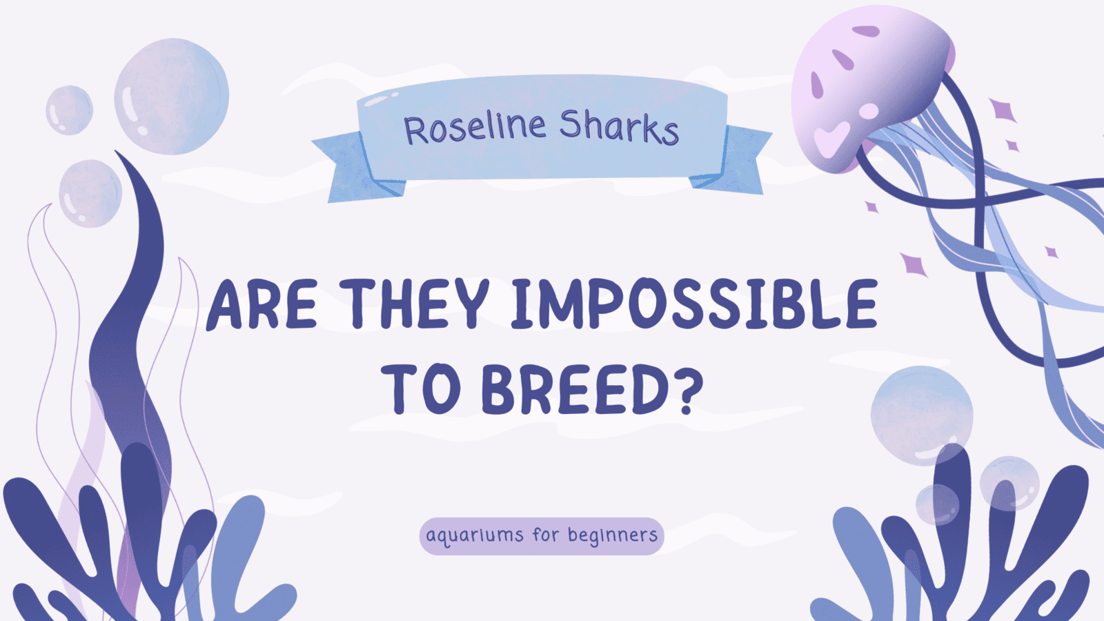 Breeding Your Roseline Sharks