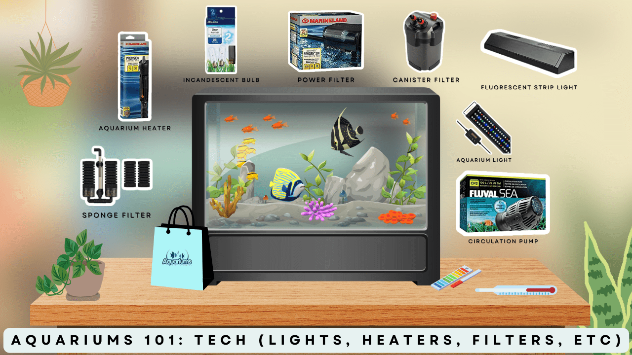 Aquariums Equipment Banner