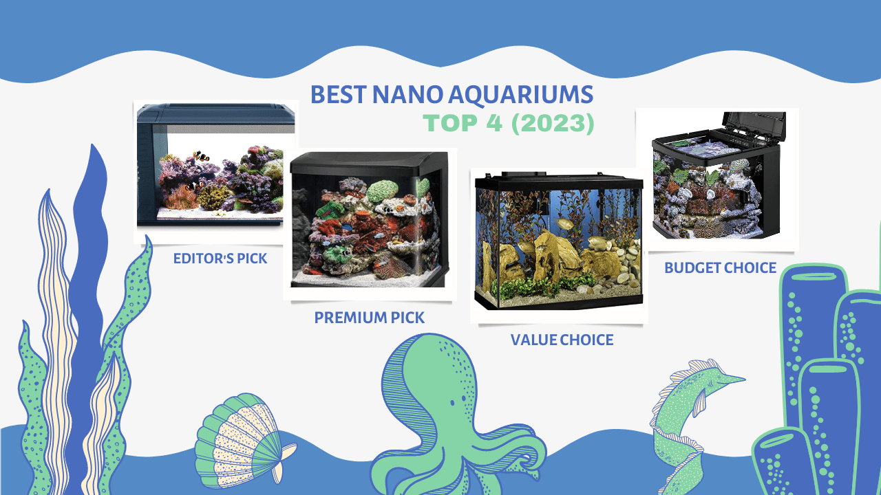 Best-Nano-Aquariums-Top-4-Pros-Cons-2023