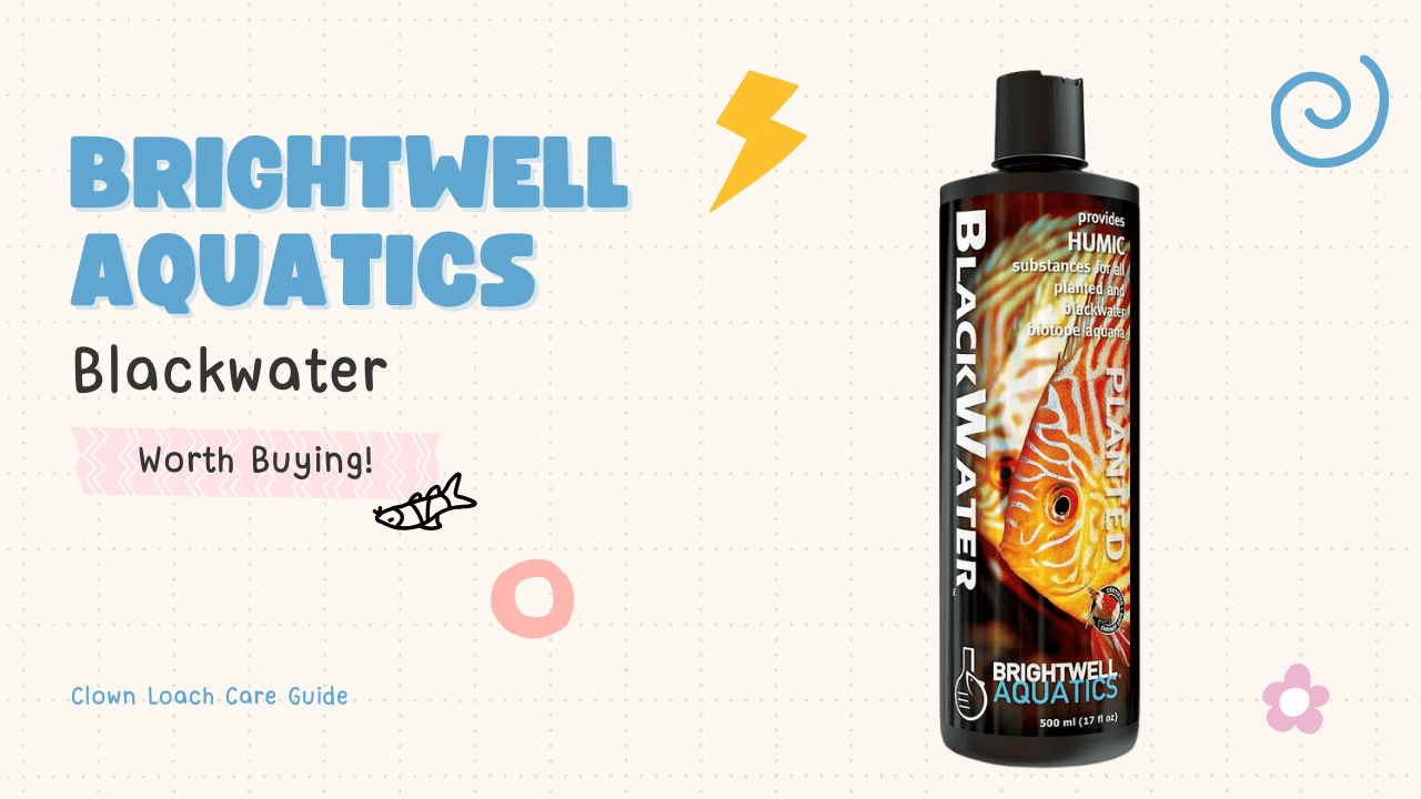Brightwell-Aquatics-Blackwater