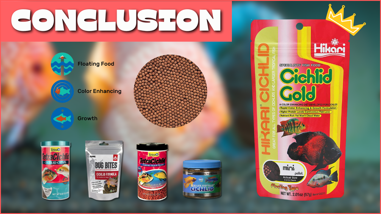 Graphic with text 'CONCLUSION' and images of cichlid food products.