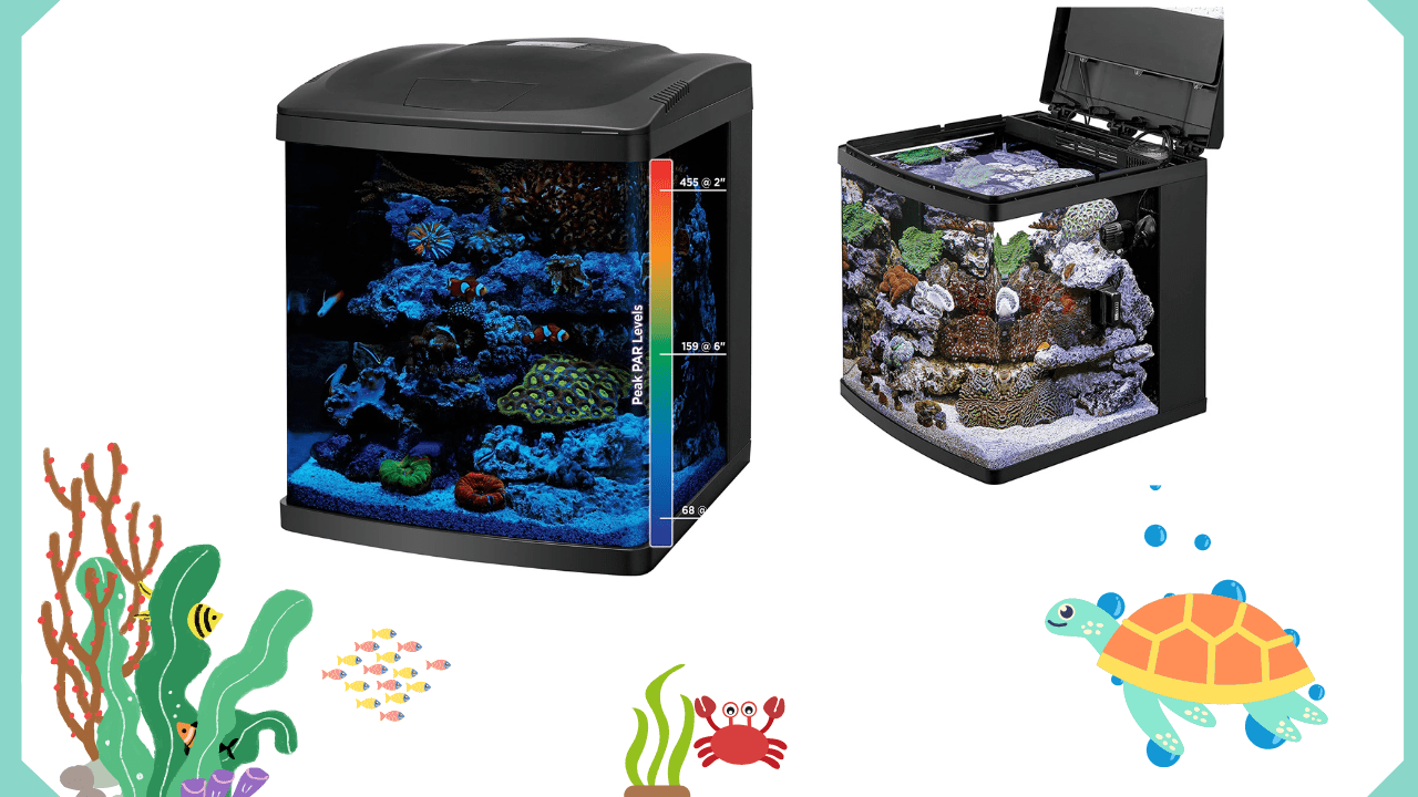 Coralife-LED-BioCube-Aquarium-Fish-Tank-Kit-–-Value-Choice