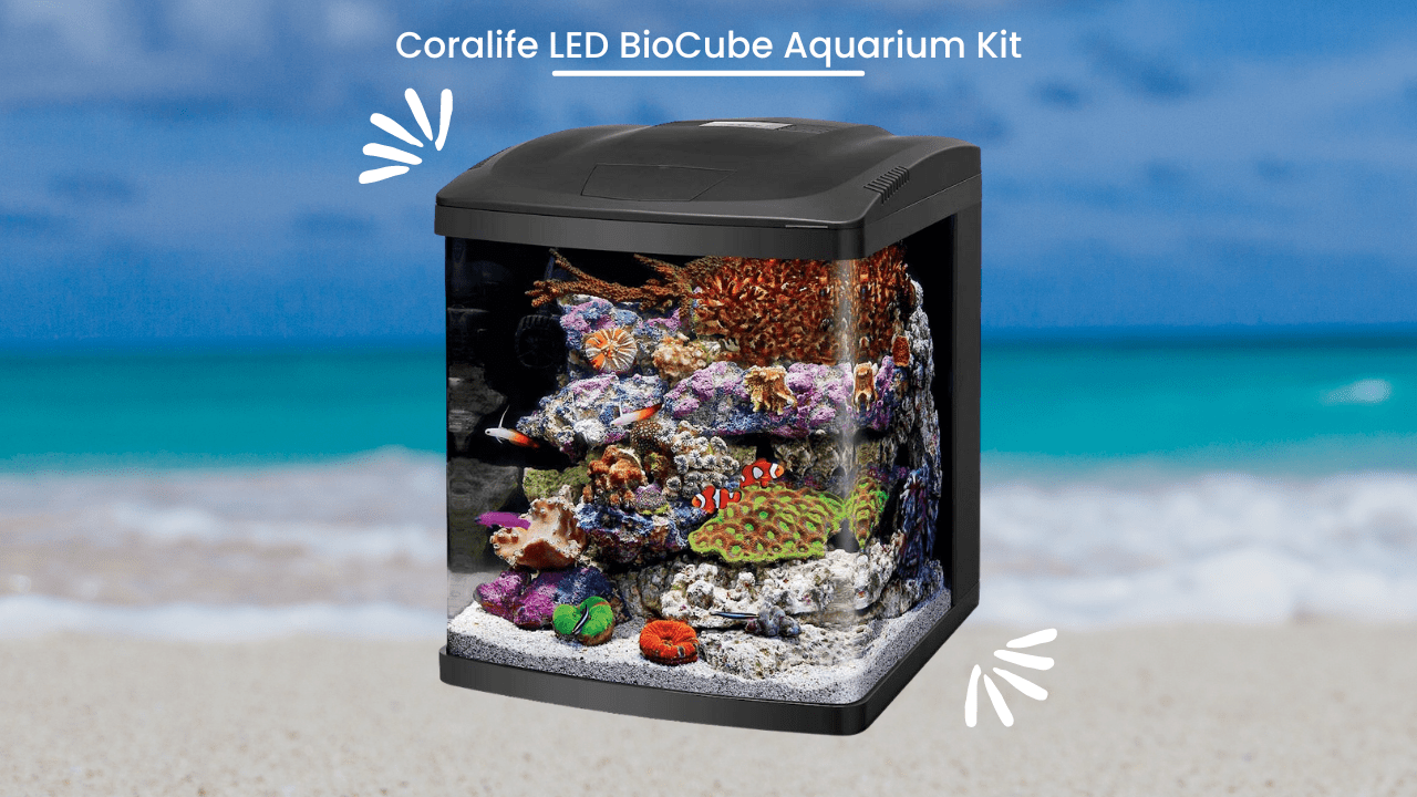 Coralife-LED-BioCube-Aquarium-Kit