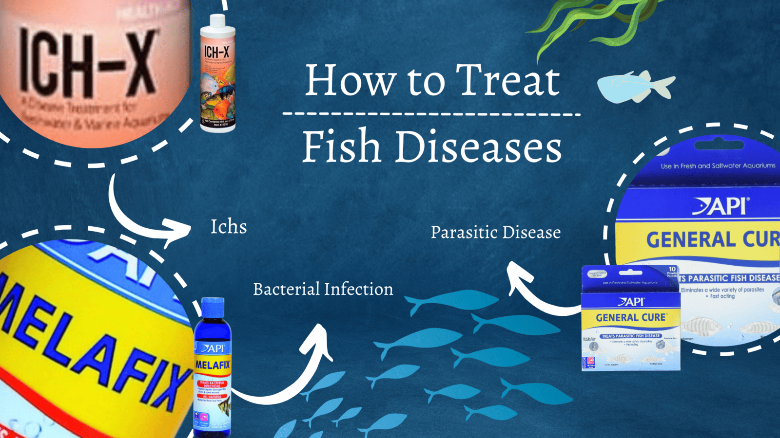 Disease-Treatment