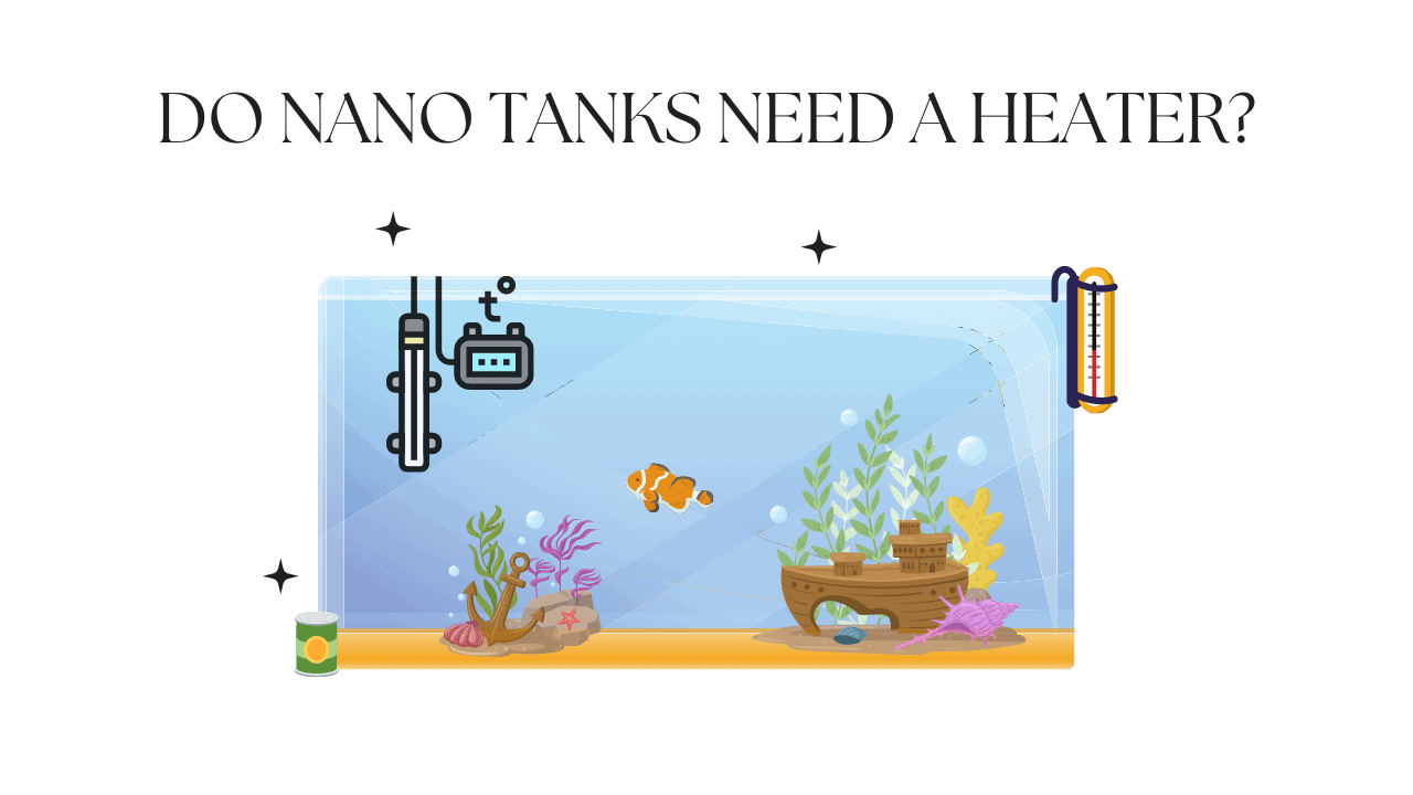 Do-Nano-Tanks-Need-a-Heater_-August-2023