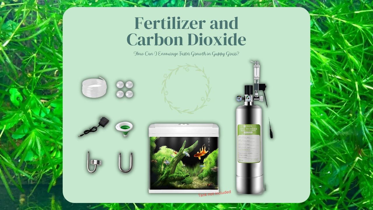 Fertilizer-and-Carbon-Dioxide