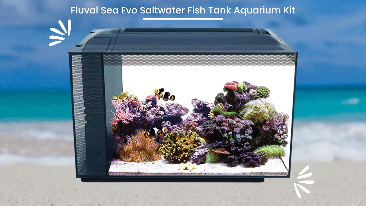 Fluval-Sea-Evo-Saltwater-Fish-Tank-Aquarium-Kit