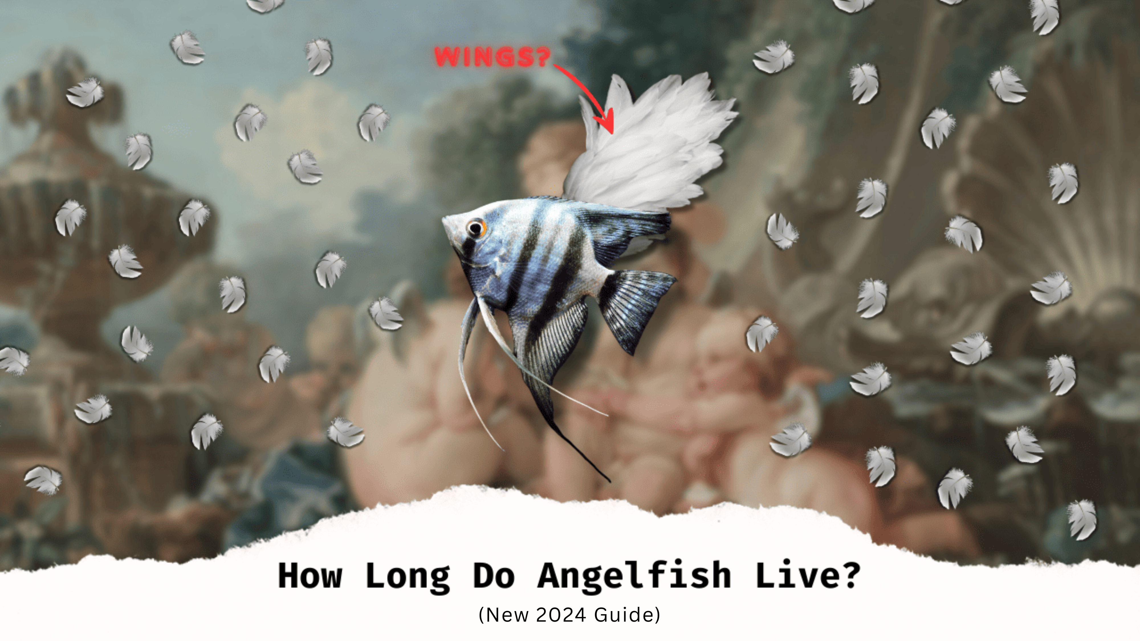 How-Long-Do-Angelfish-Live_-New-2023-Guide