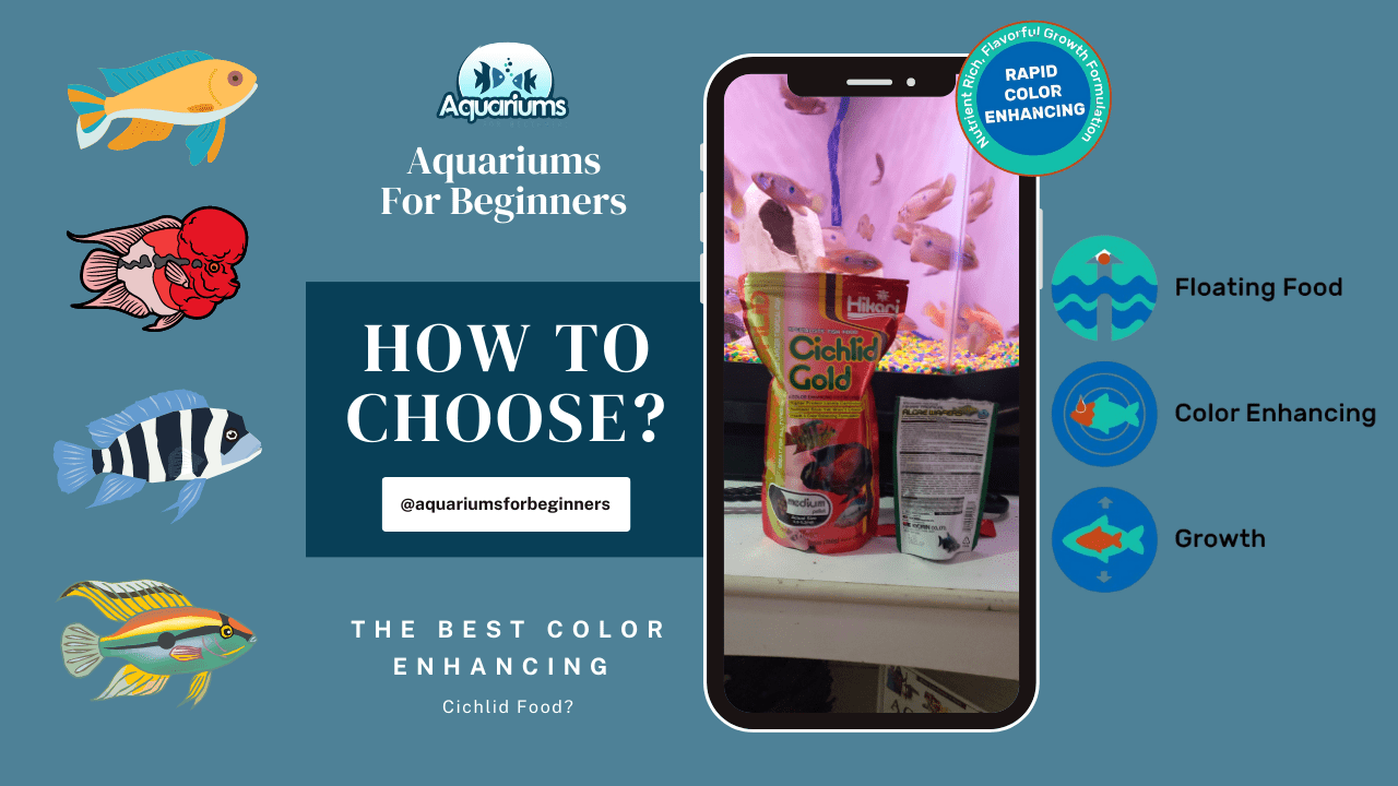 Aquarium guide graphic with fish illustrations and a smartphone displaying cichlid food.