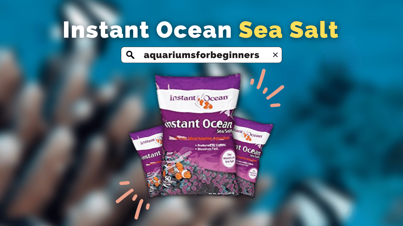 Instant Ocean Sea Salt