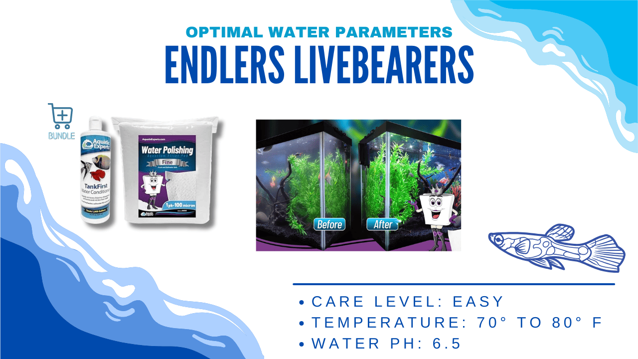 Optimal-Water-Parameters-for-Endlers-Livebearers