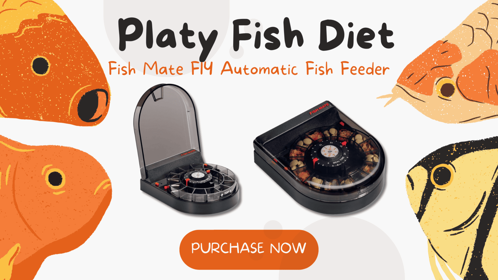 Platy-Fish-Diet-Fish-Mate-F14-Automatic-Fish-Feeder