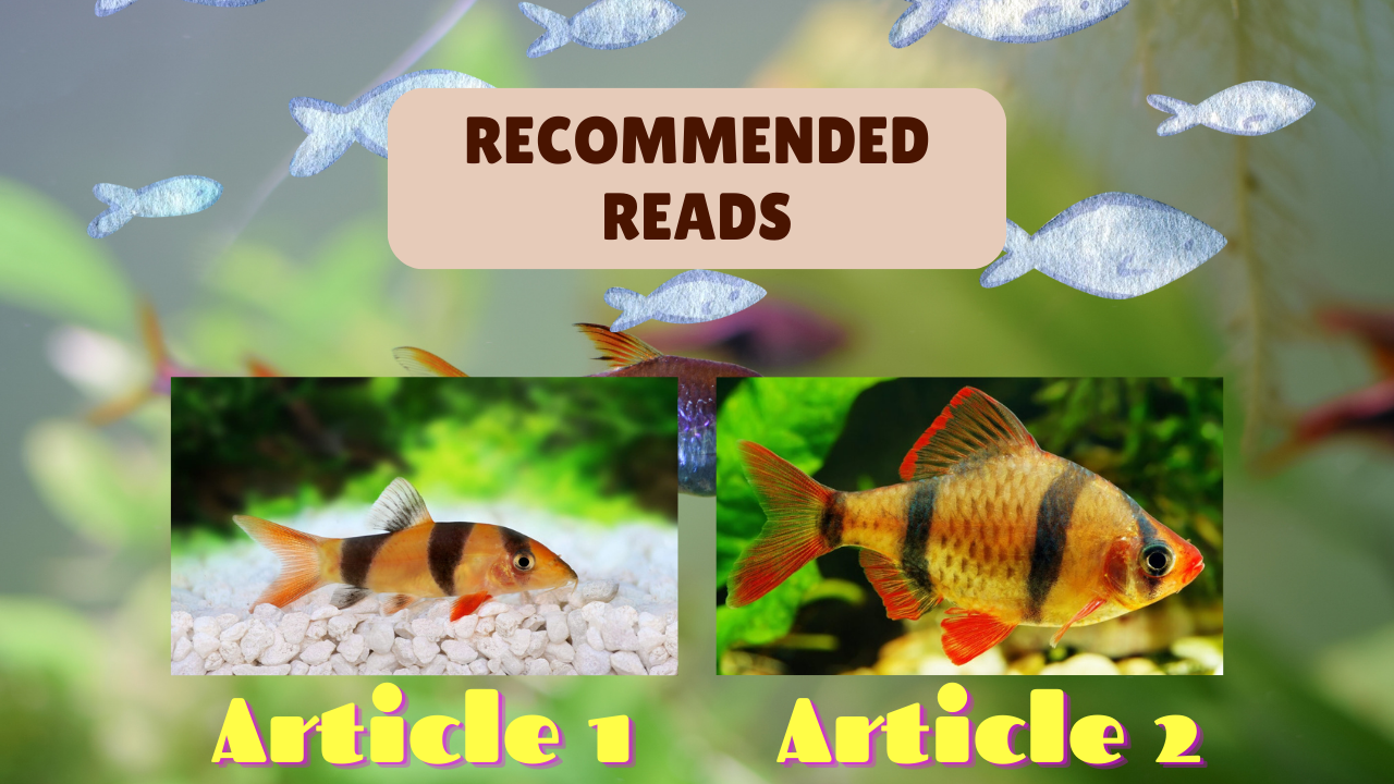 Recommended-Reads