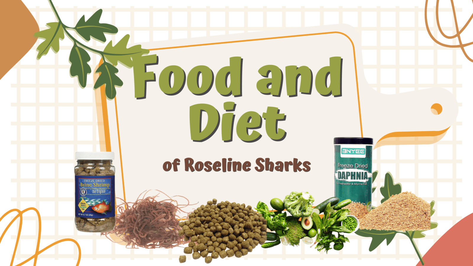 Roseline Sharks Food and Diet