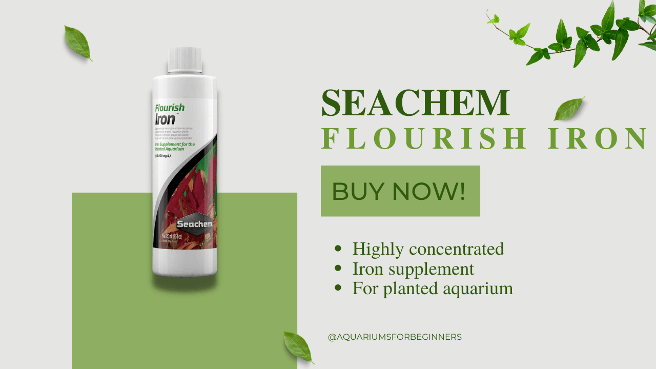 Seachem-Flourish-Iron