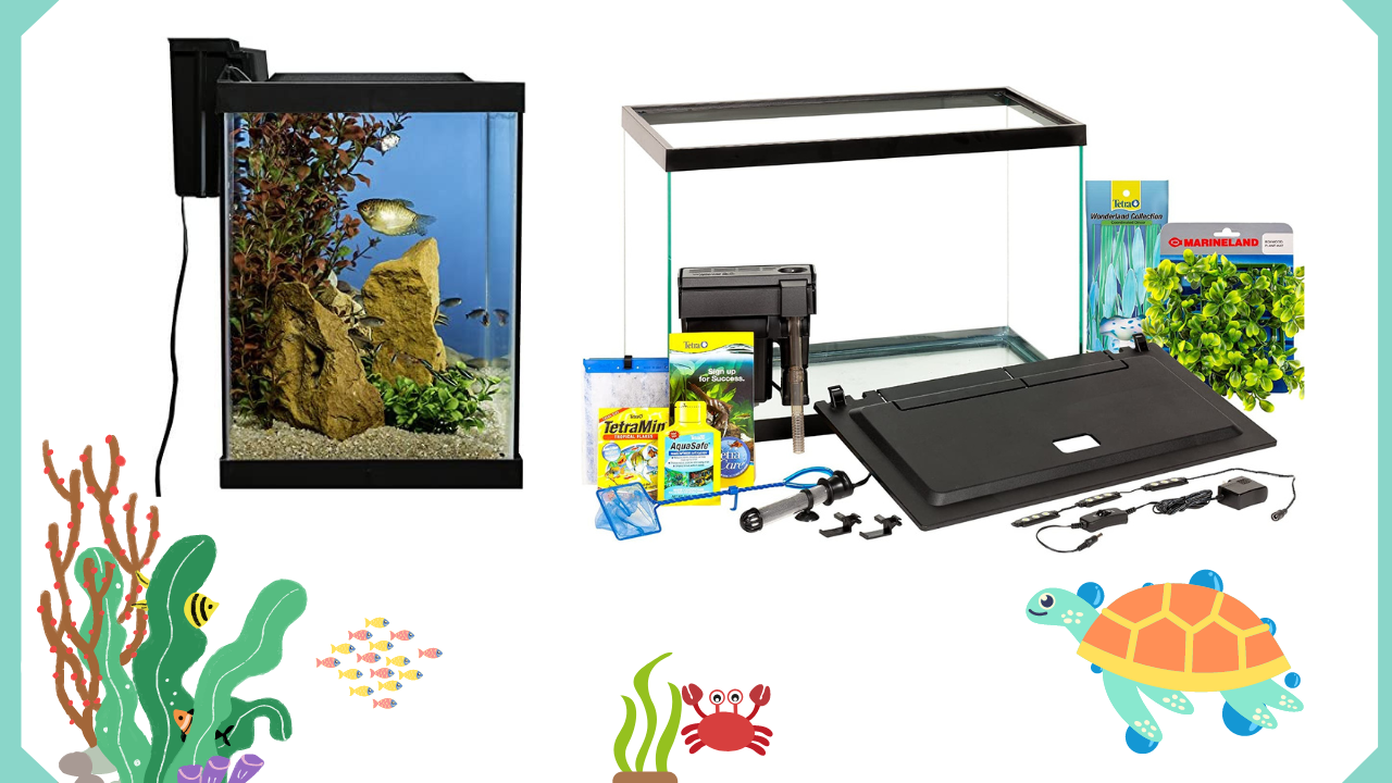 Tetra-Aquarium-20-Gallon-Fish-Tank-Kit-–-Budget-Choice