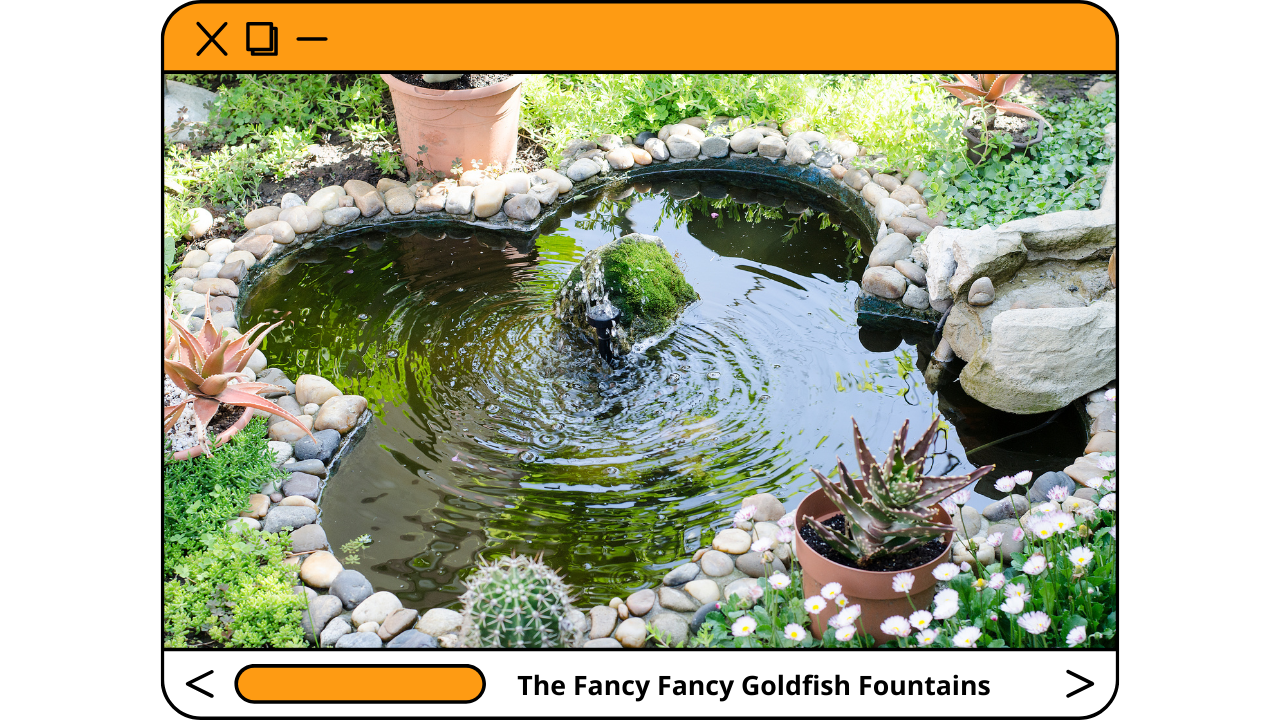 The-Fancy-Fancy-Goldfish-Fountains