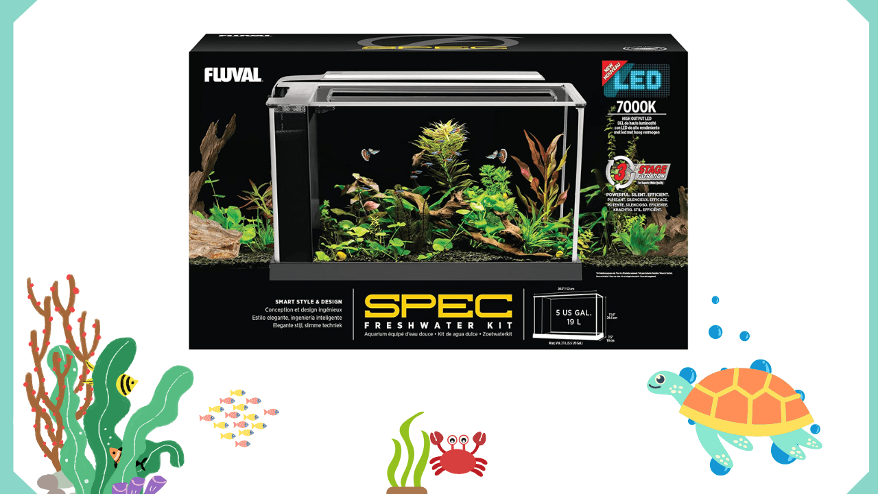 The-Fluval-Spec-V-Aquarium