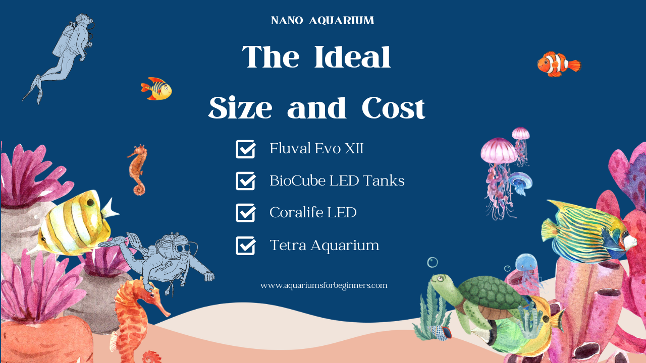 The-Ideal-Size-and-Cost-for-Your-Nano-Aquarium