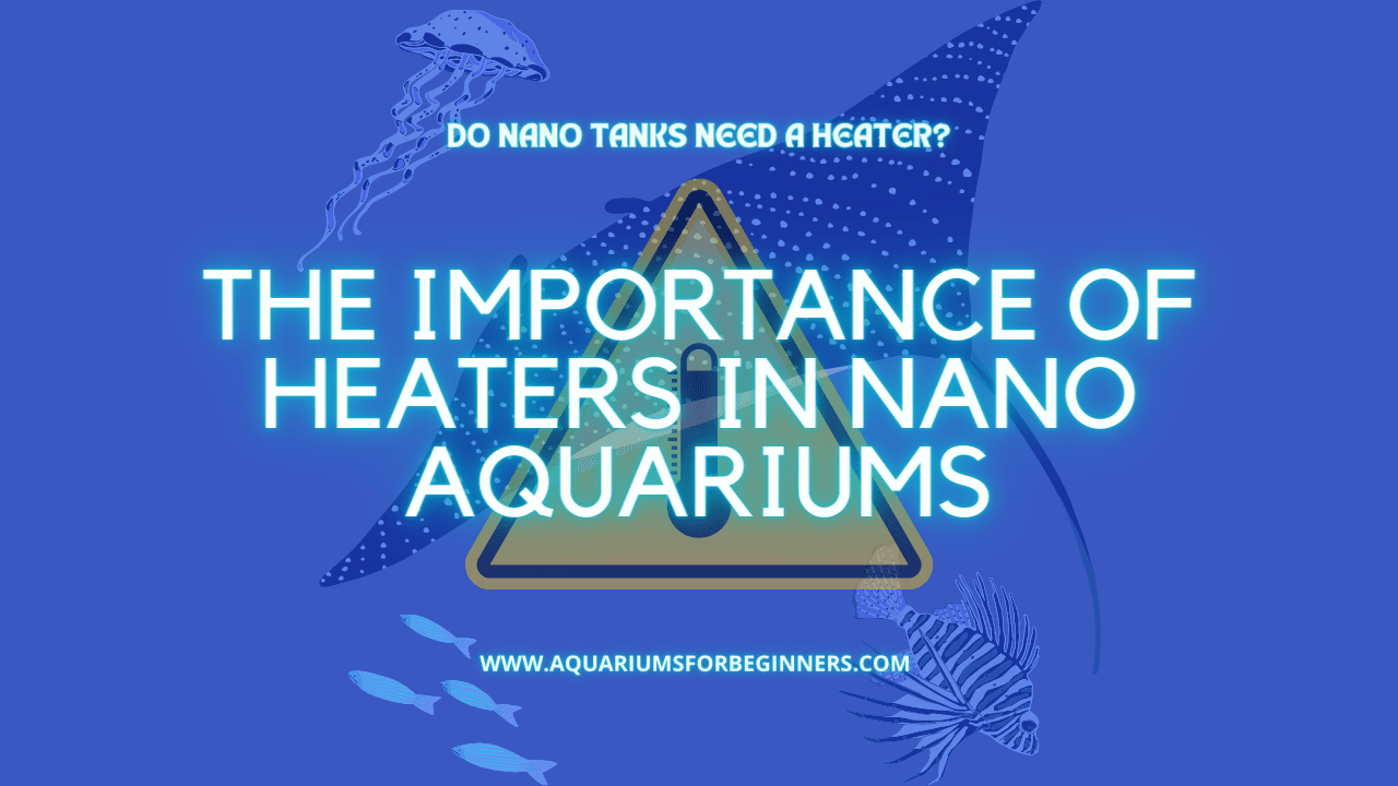The-Importance-of-Heaters-in-Nano-Aquariums