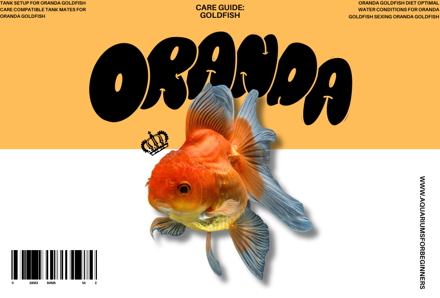 The_Definitive_Oranda_Goldfish_Care_Guide_homepage